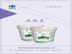 水產(chǎn)養(yǎng)殖 水底改良劑廠家 代理加盟